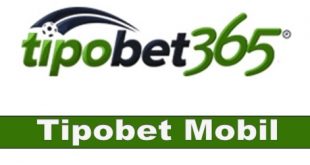 Tipobet Mobil