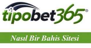 Tipobet Nasıl Bir Bahis Sitesi